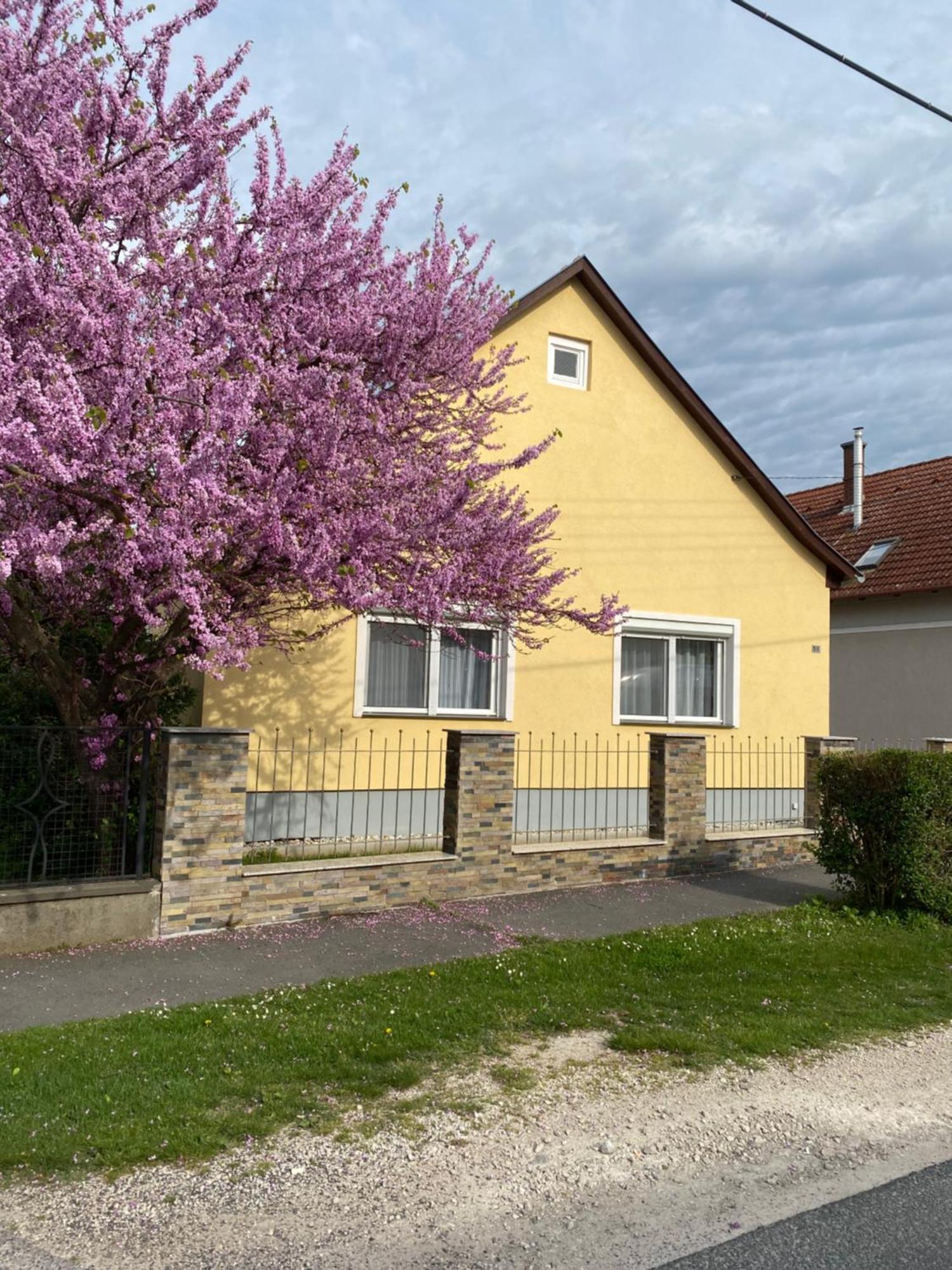 Netti Holiday home Marcali