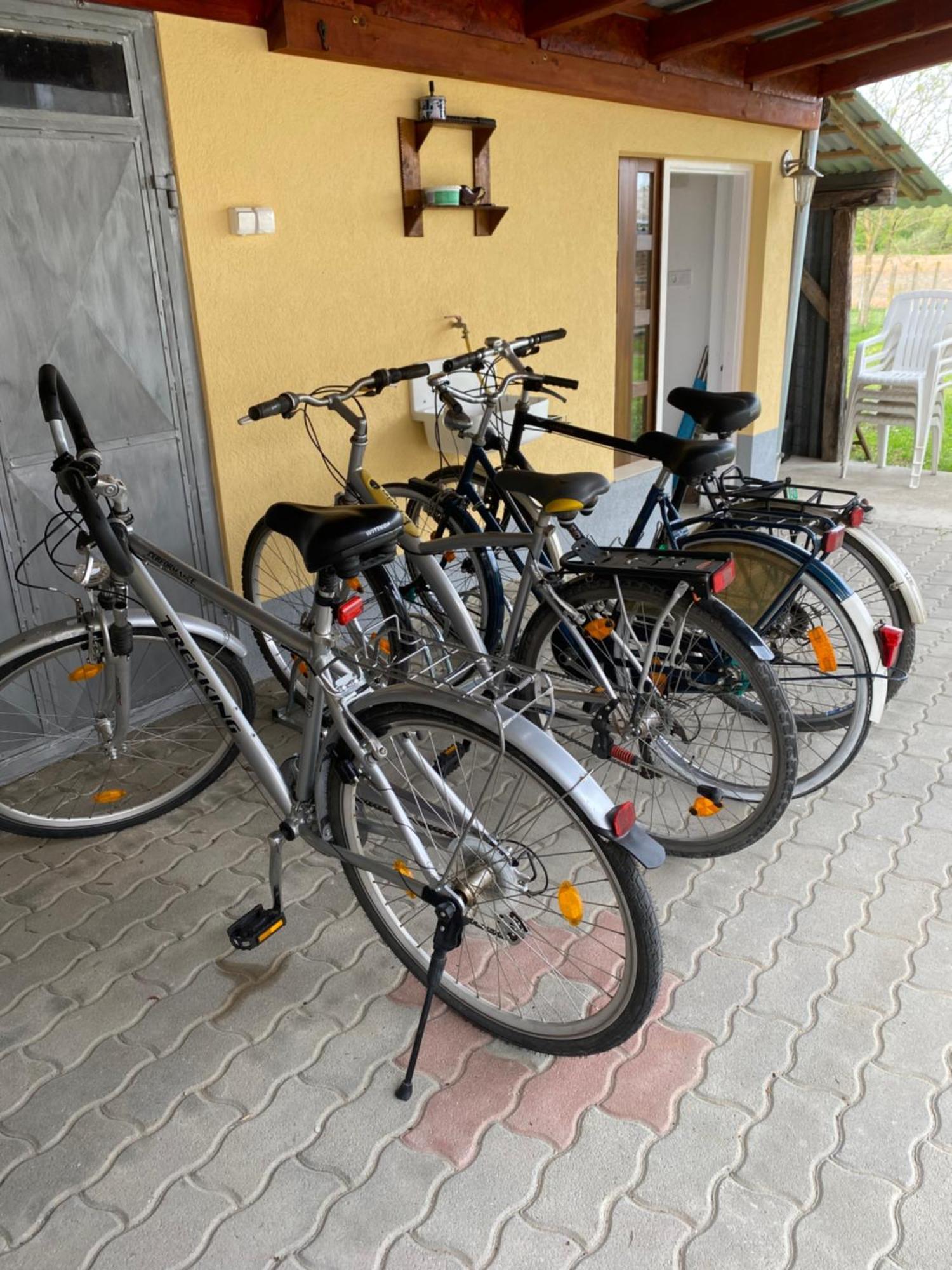 Netti Holiday home